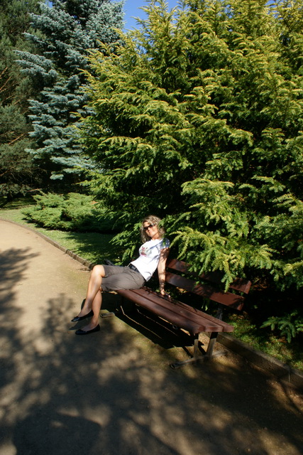 DSC05337