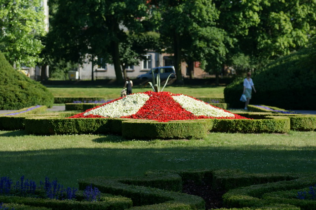 DSC05366