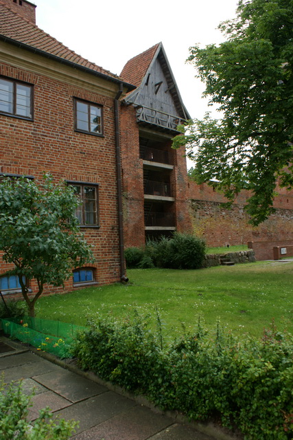 DSC05398