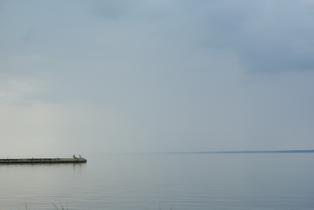 DSC05483