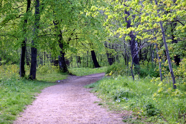 DSC04719