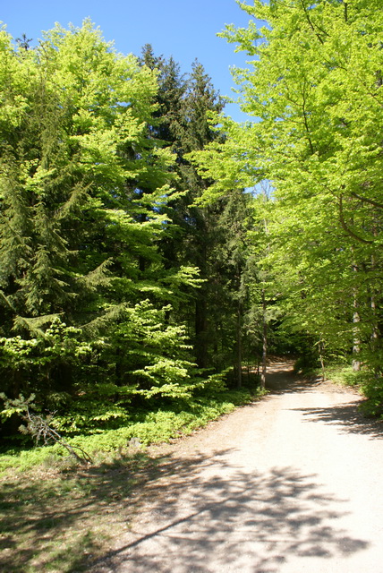 DSC04723
