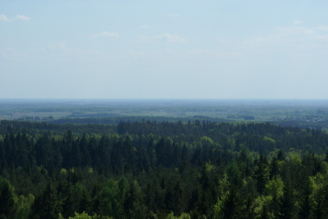 DSC04744