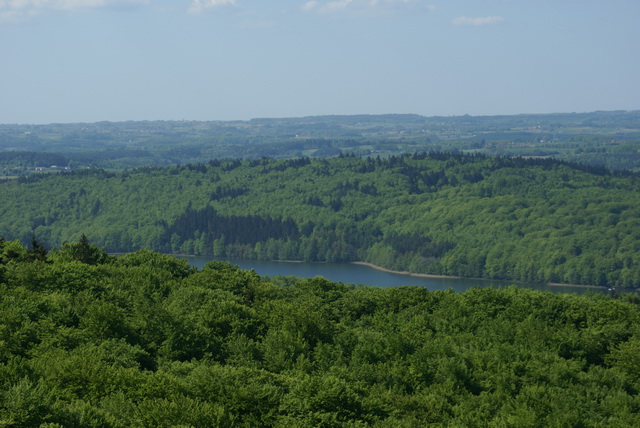 DSC04751