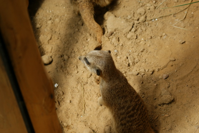 DSC05595