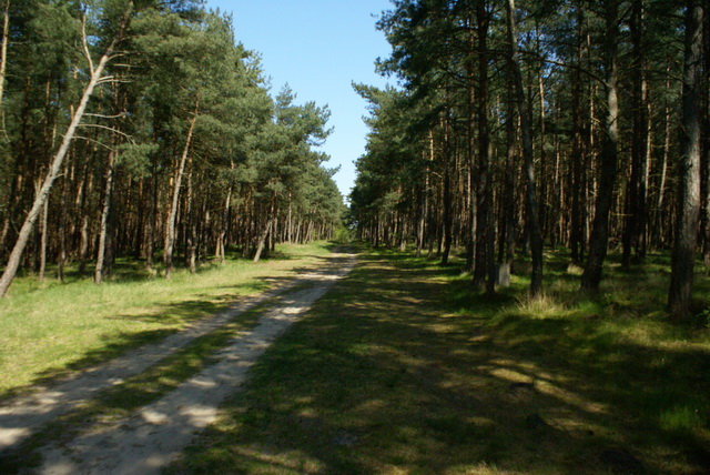 DSC04405