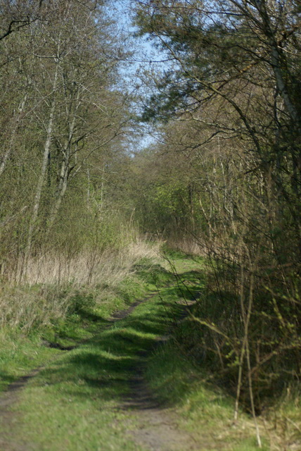 DSC04416