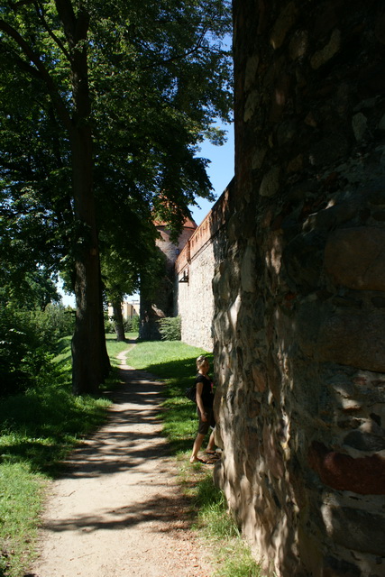 DSC05781