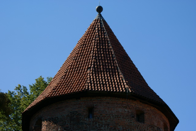DSC05790
