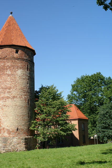 DSC05794