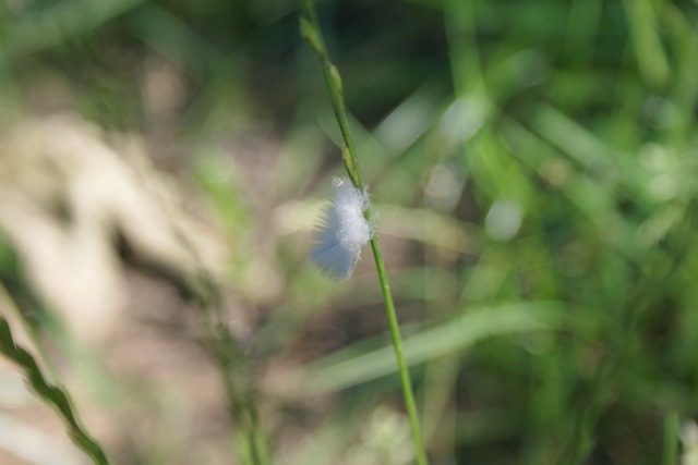 DSC05801