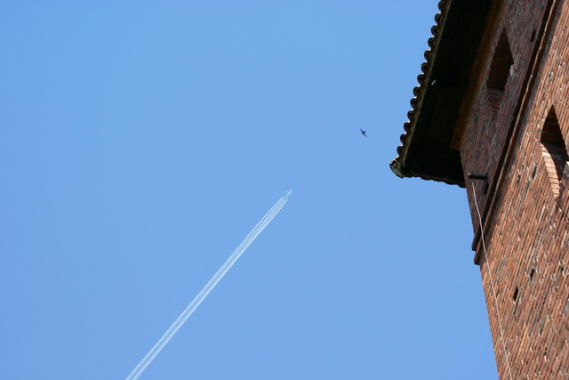 DSC05821