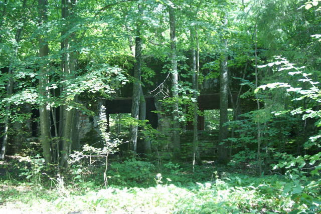 DSC06307