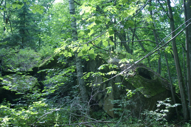 DSC06333