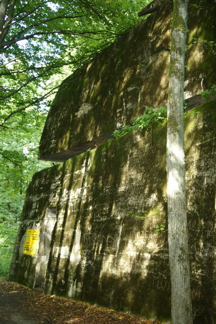 DSC06364