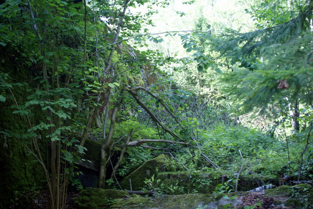 DSC06369