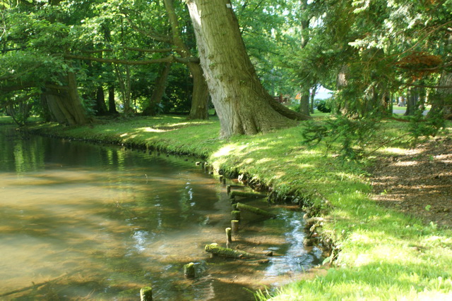 Dsc09290