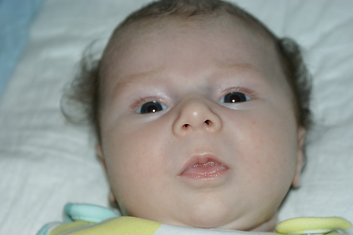 DSC07410