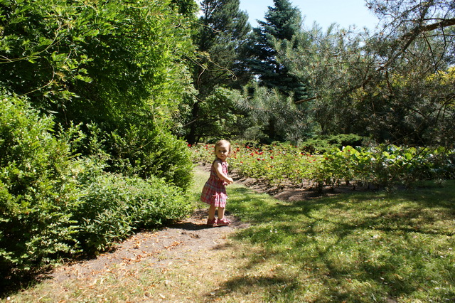DSC01370