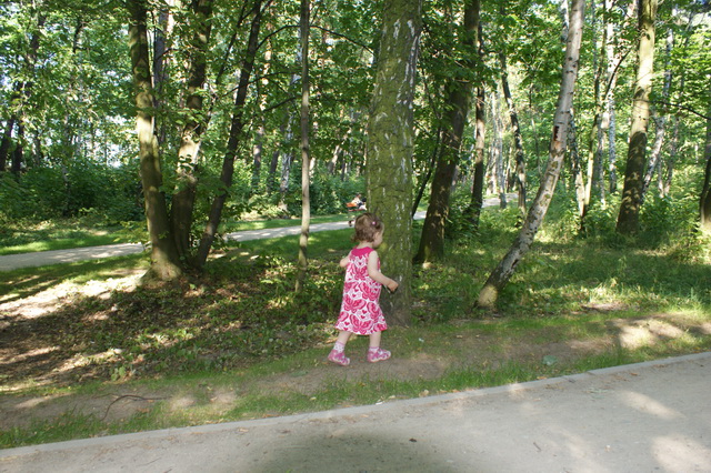 DSC01512