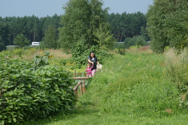 DSC03934