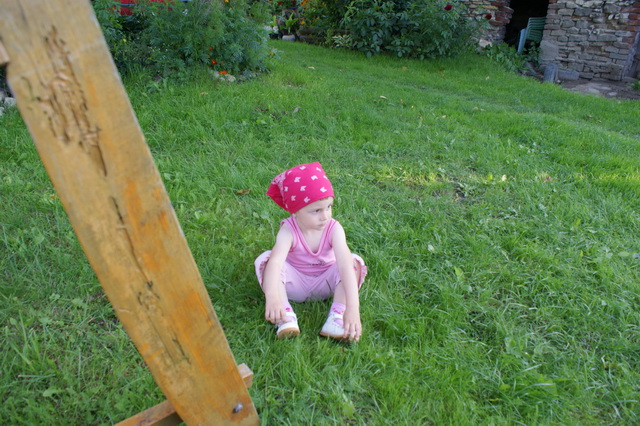 DSC03985
