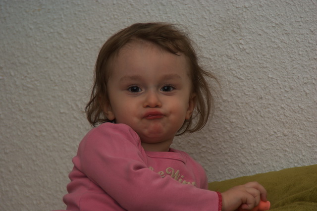 DSC02402