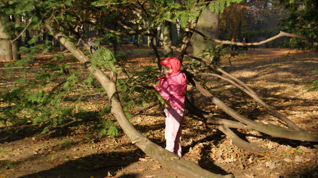 DSC05041