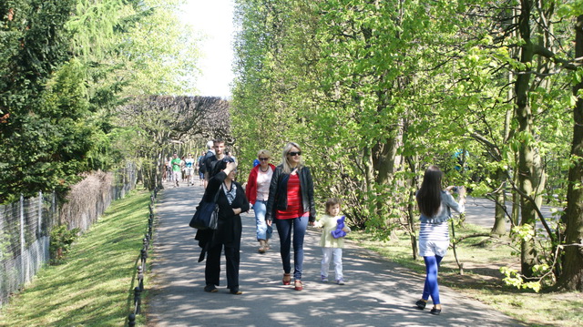 DSC05971