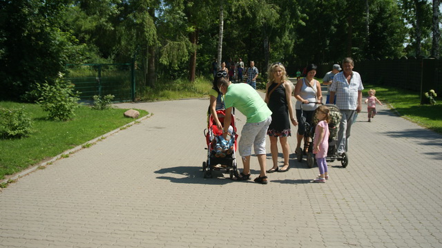 DSC08202