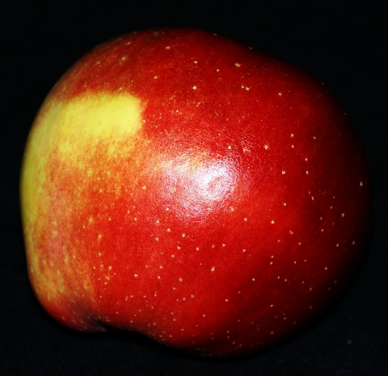 DSC02784