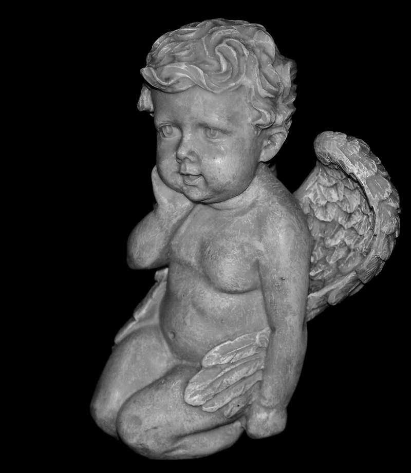 DSC02804a