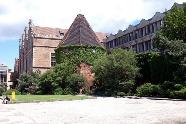 DSC00972