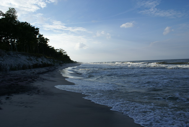 DSC01719