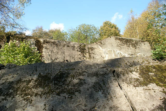 DSC01834