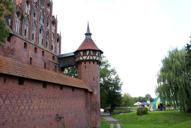 DSC01556