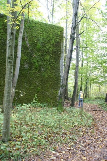 DSC01903