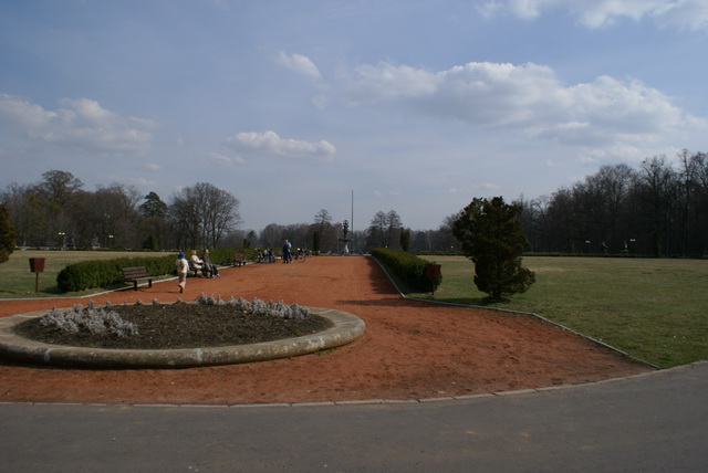 DSC03915