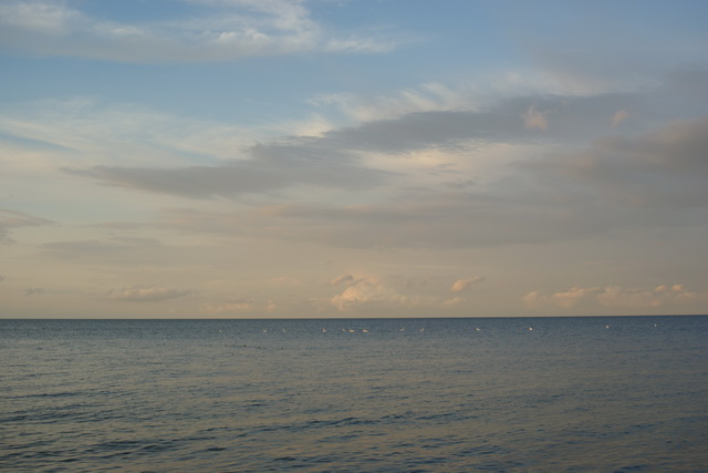 DSC05952