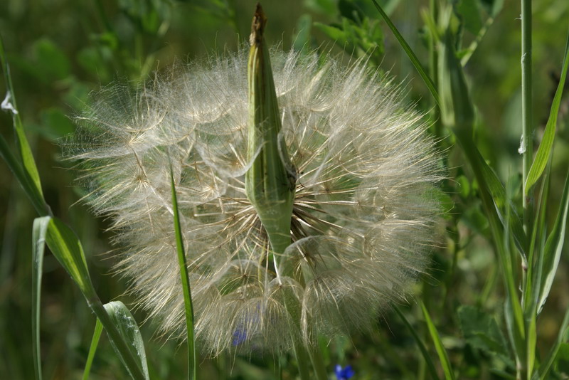 DSC00492