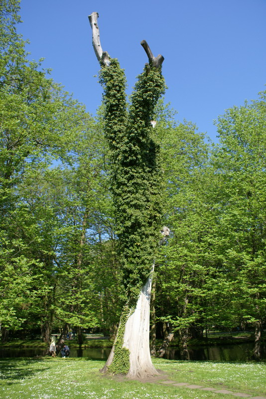 DSC00276