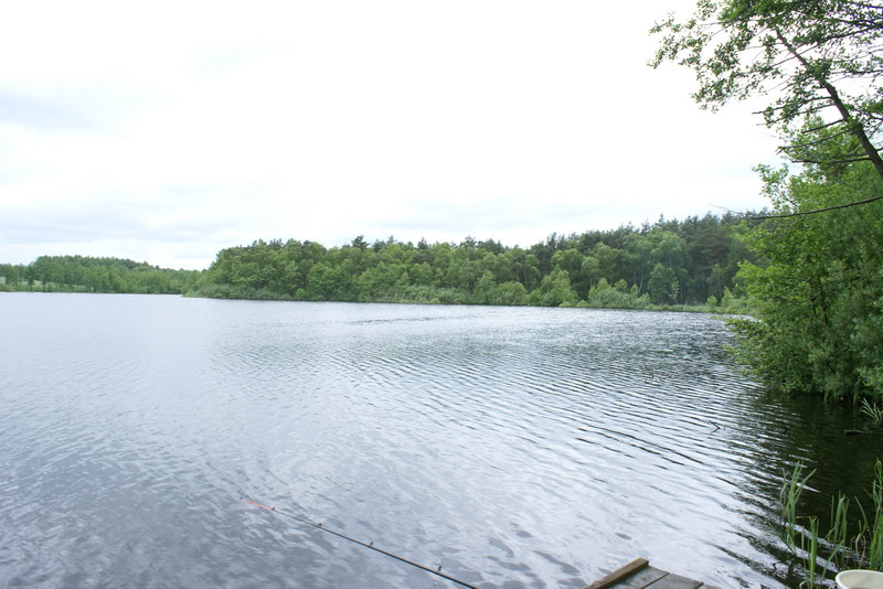 DSC00397