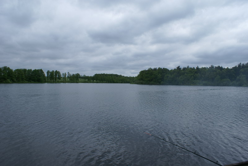 DSC00398