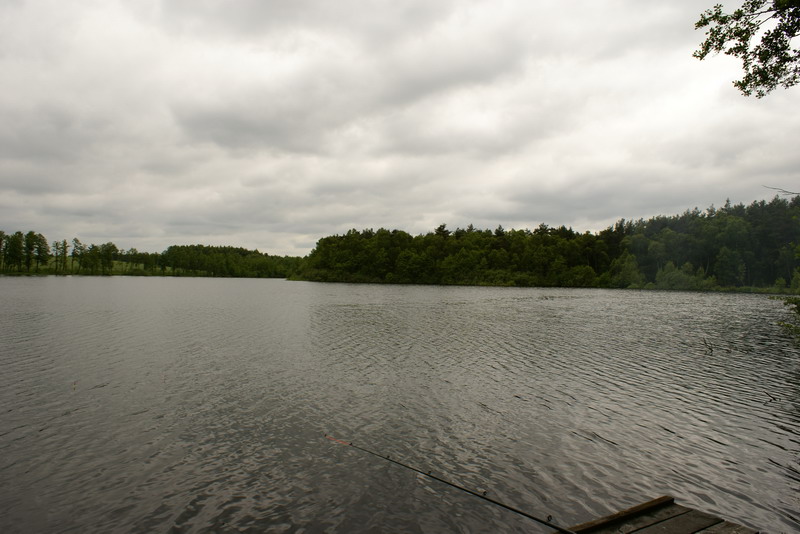DSC00399
