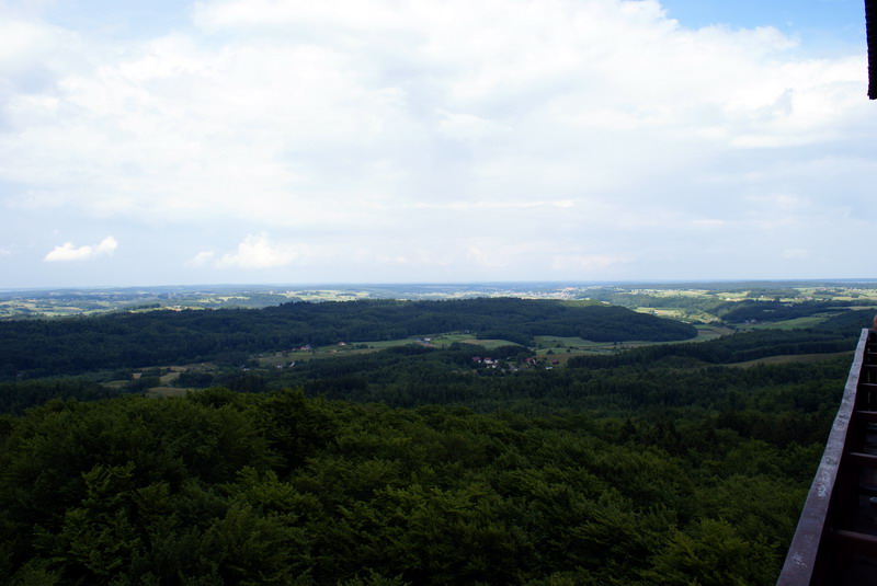 DSC00854