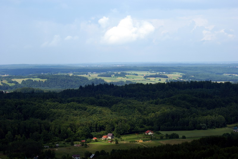 DSC00864