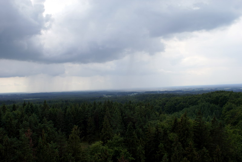 DSC00885
