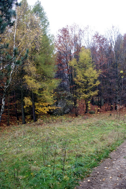 DSC02301